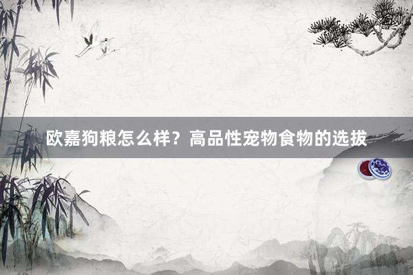 欧嘉狗粮怎么样？高品性宠物食物的选拔