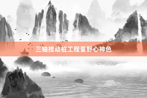 三轴搅动桩工程量野心神色